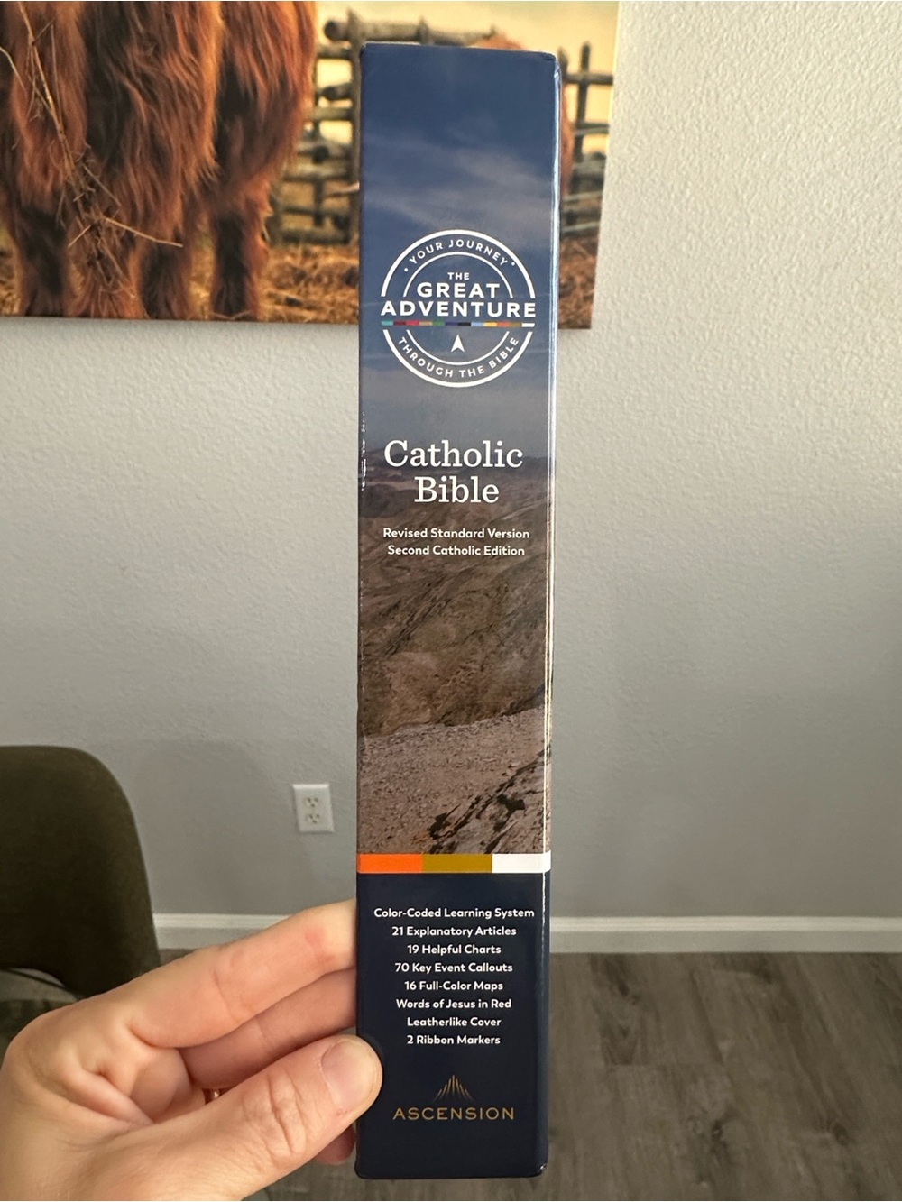 The Great Adventure Catholic Bible NEW - Picture 3 of 3